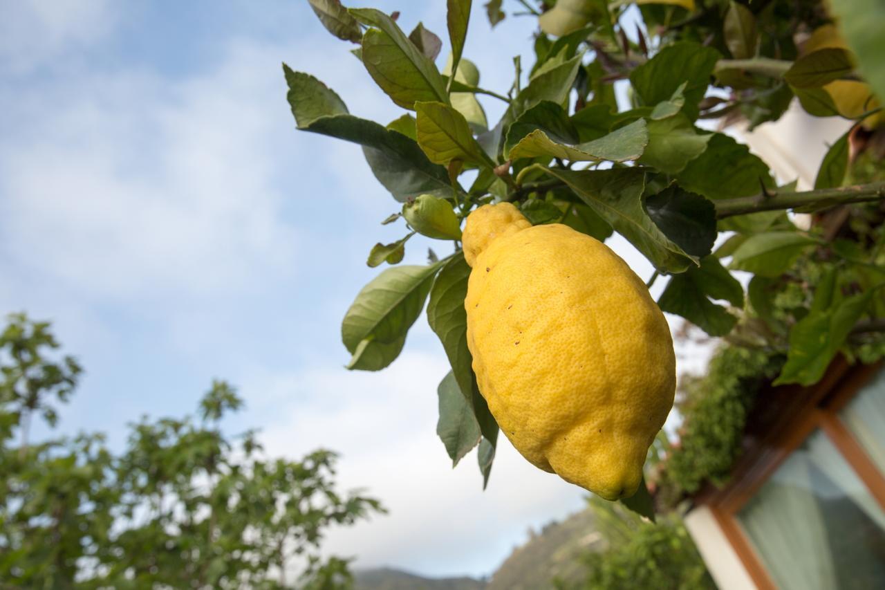 Mendolita Lipari (Isola Lipari)